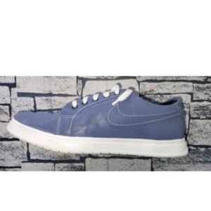 casual shoe